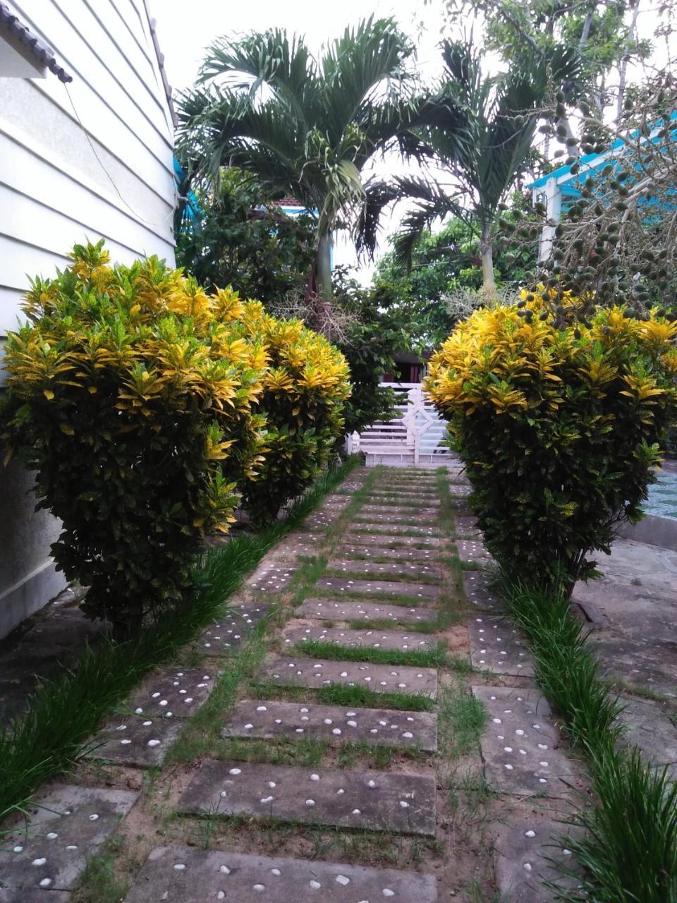 De Vong Riverside Homestay Hoi An Exterior foto